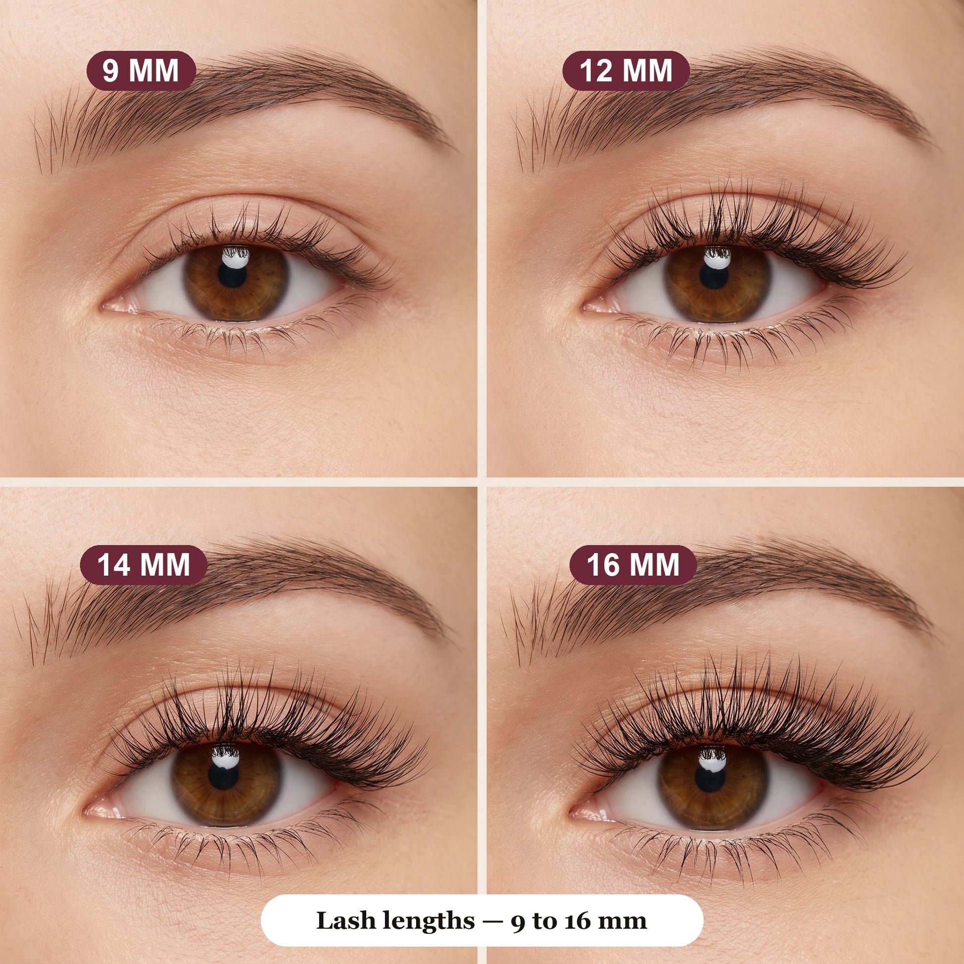 Vernay cluster lash lengths 9, 12, 14 and 16 mm shown worn on the eye